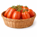 Tomate Andrea